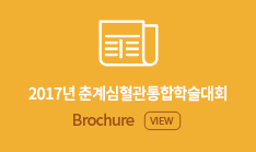 2016년 춘계통합학술대회 Brochure