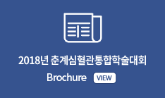 2018년 춘계통합학술대회 Brochure