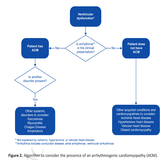 Figure 2. Algorithm to consider the presence of an arrhythmogenic cardiomyopathy (ACM).